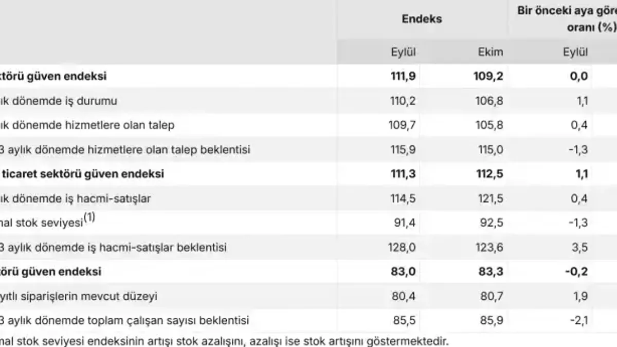Hizmet sektöründe güven gerilerken perakende yükselişte - Detay Görsel 1