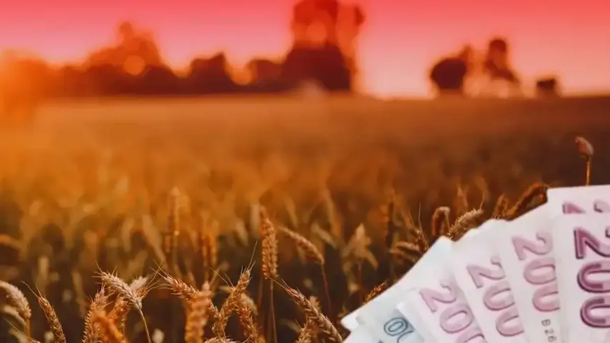 TMO, üreticilere büyük bir ödeme yaptı