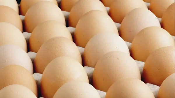 Ağustos ayında Türkiye'de yumurta üretimi 2 milyarı aştı.