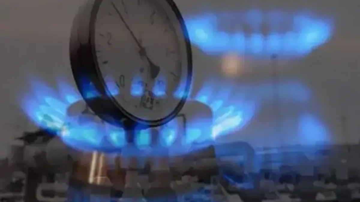 2025 hanehalkı enerji tüketim istatistikleri grafiği