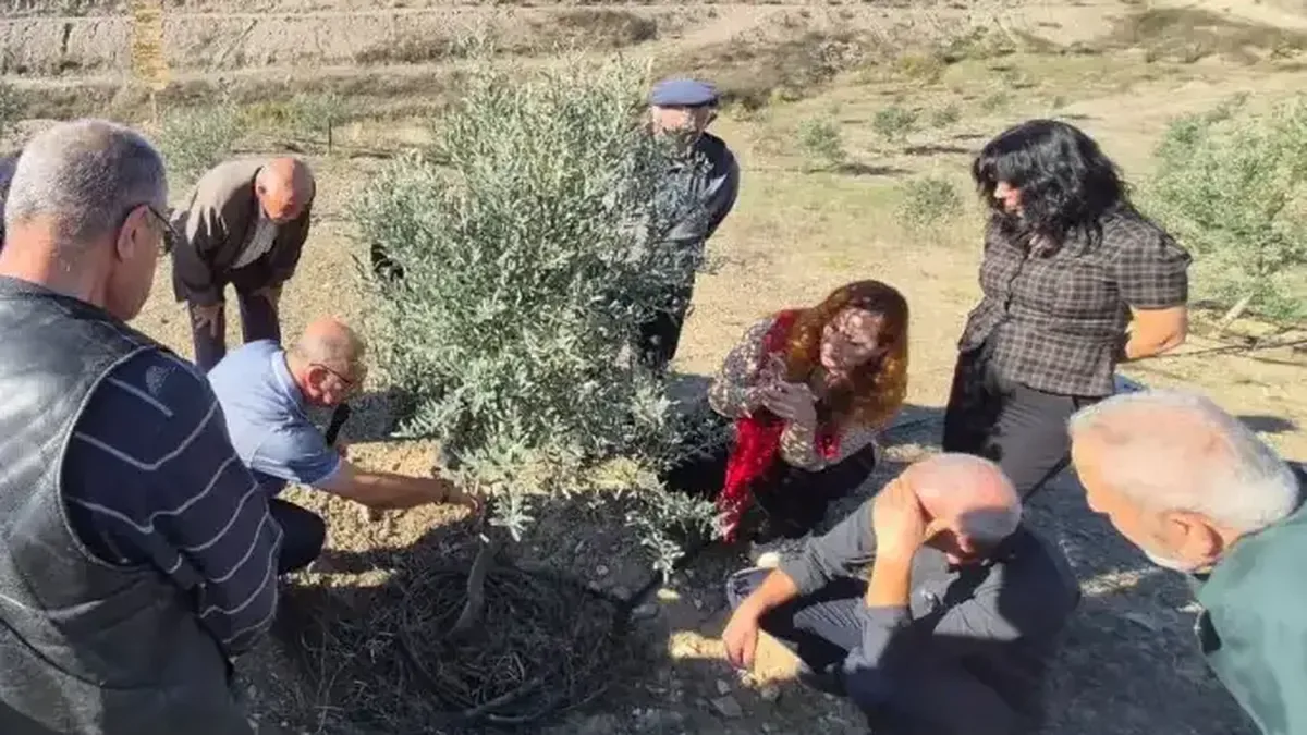 Eskişehir Sarıcakaya’da zeytin üreticilerine uygulamalı eğitim