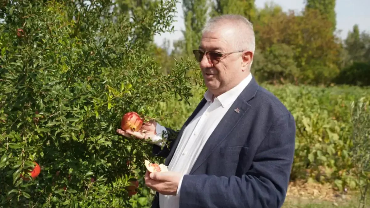 Edremit Belediye Başkanı Mehmet Ertaş ve beraberindeki heyetin ata tohumu üretim seralarında inceleme yaptığı anlar.