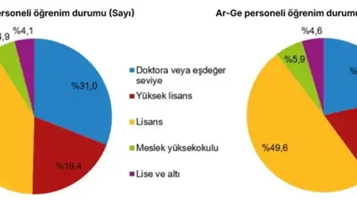 Türkiye’nin Ar-Ge harcamaları 1 trilyon TL’ye yaklaştı - Detay Görsel 1