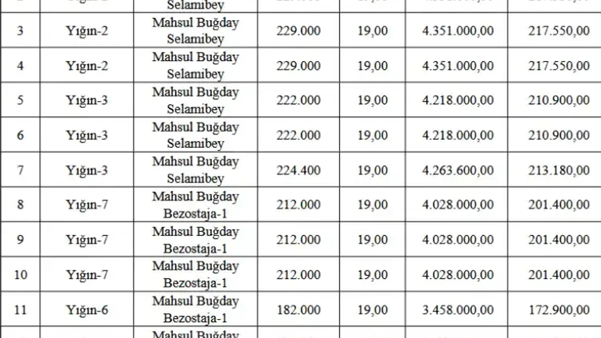 Tigem, 55.2 milyon tl'lik buğday ihalesi düzenliyor - Detay Görsel 1