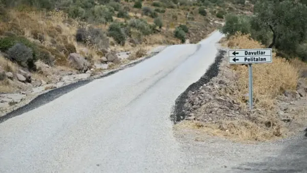Haber Detayı