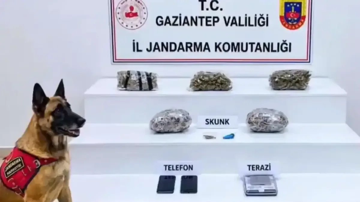 Uyuşturucu operasyonlarıyla ele geçirilen maddeler