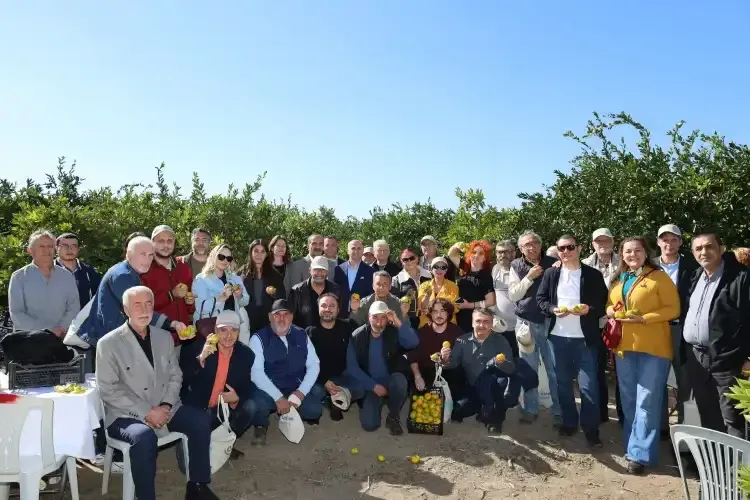 Satsuma mandalina ihracat sezonu başladı - Detay Görsel 2