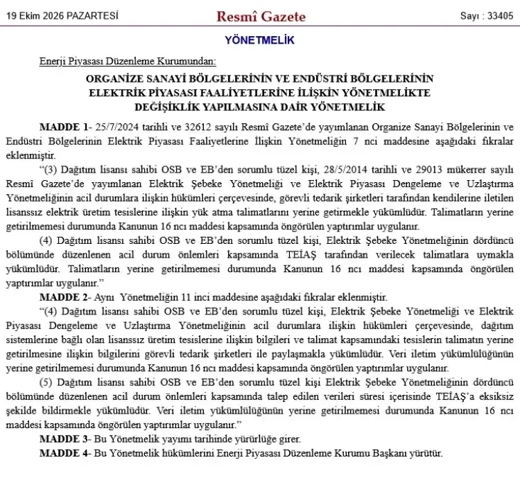 EPDK elektrik piyasasında yeni düzenlemeler getirdi - Detay Görsel 1