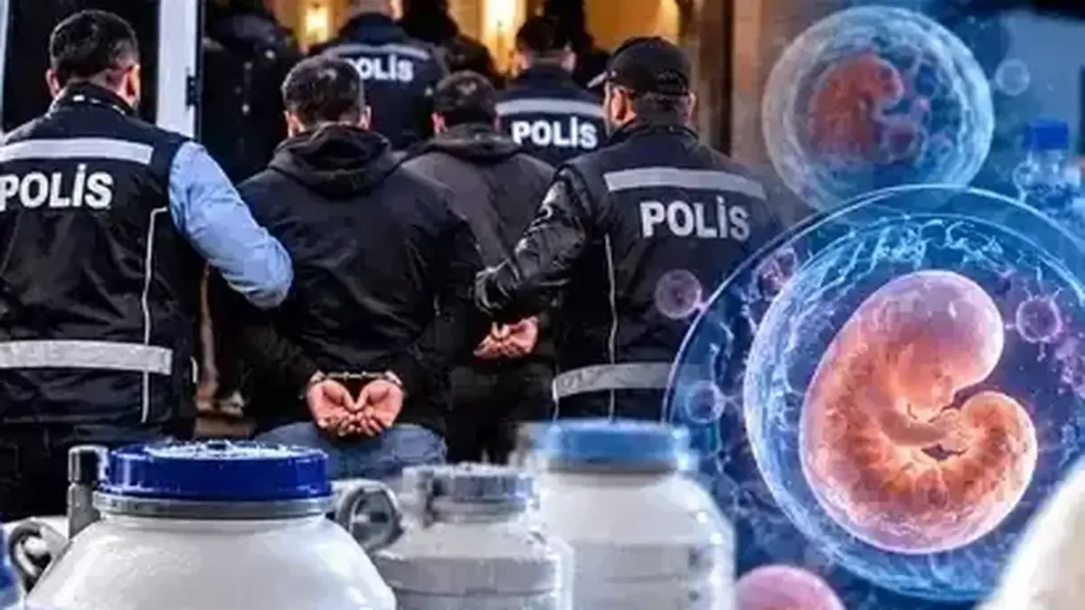 14 ilde düzenlenen doku ticareti operasyonu sırasında gözaltına alınan şüpheliler.