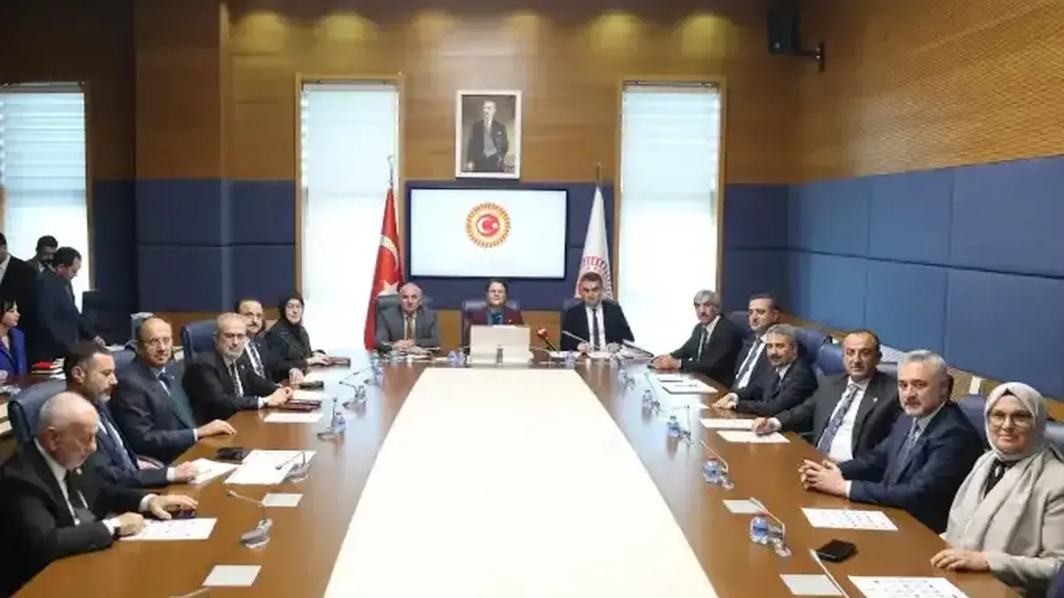 TBMM İnsan Hakları Komisyonu toplantısında başkan vekili seçimi yapıldı.