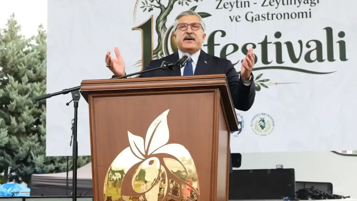 Hüseyin Yayman, Altınözü Zeytin Festivali'nde zeytin hasadı yapıyor.