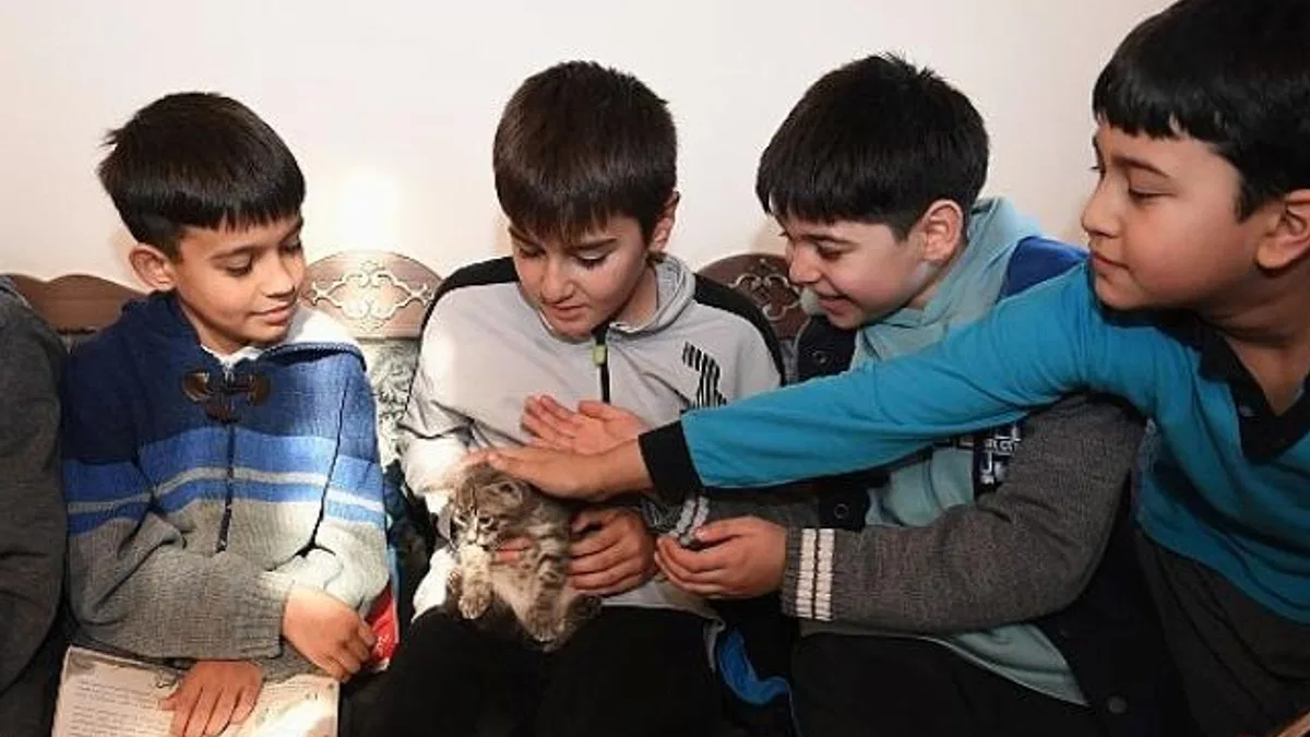 Öğrenciler bu kütüphanede hem kitap okuyor hem de kedileri seviyor