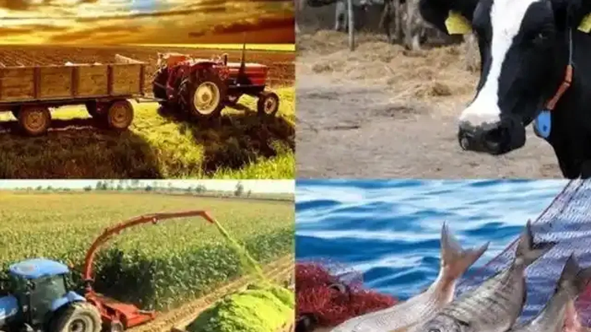 Hayvancılık destekleme miktarlarında artış!