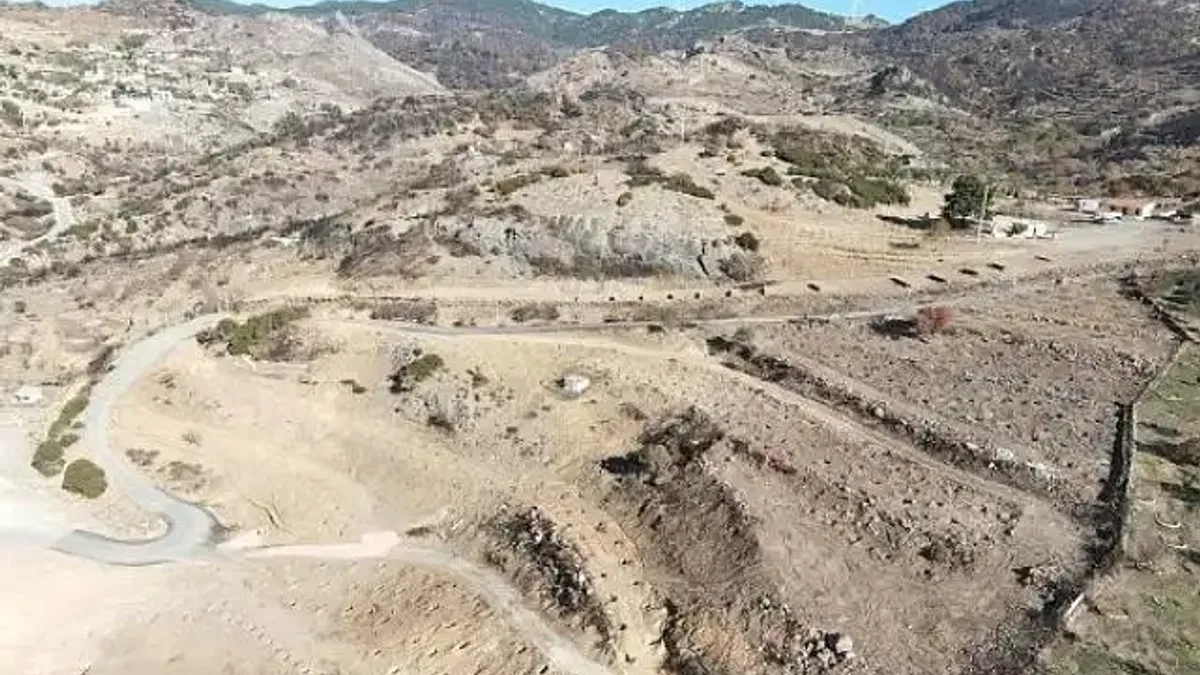 Doğançaylı arıcılar istedi Başkan Tugay talimatı verdi Yanan araziler bal ormanıyla küllerinden doğuyor