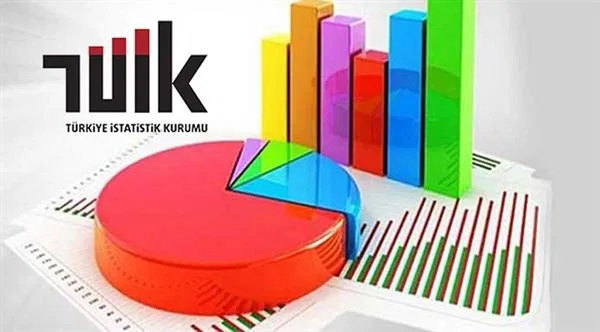 tuik-istatistik.jpg