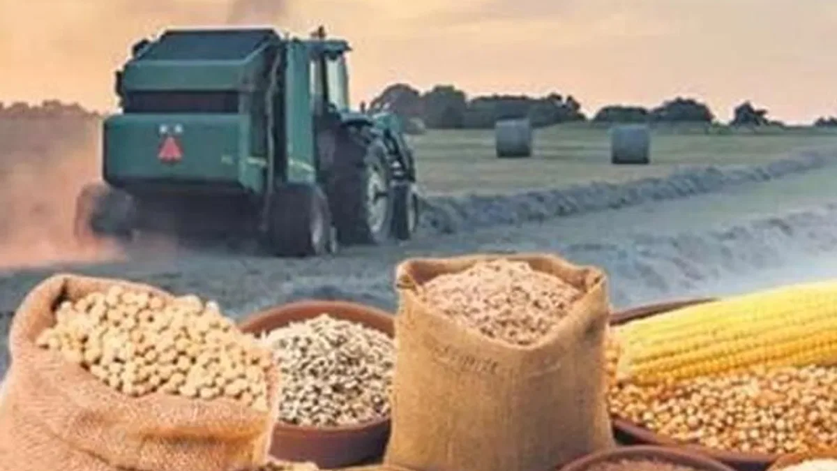 Tarım-ÜFE 2025'in son ayında da güçlü seyrini sürdürdü