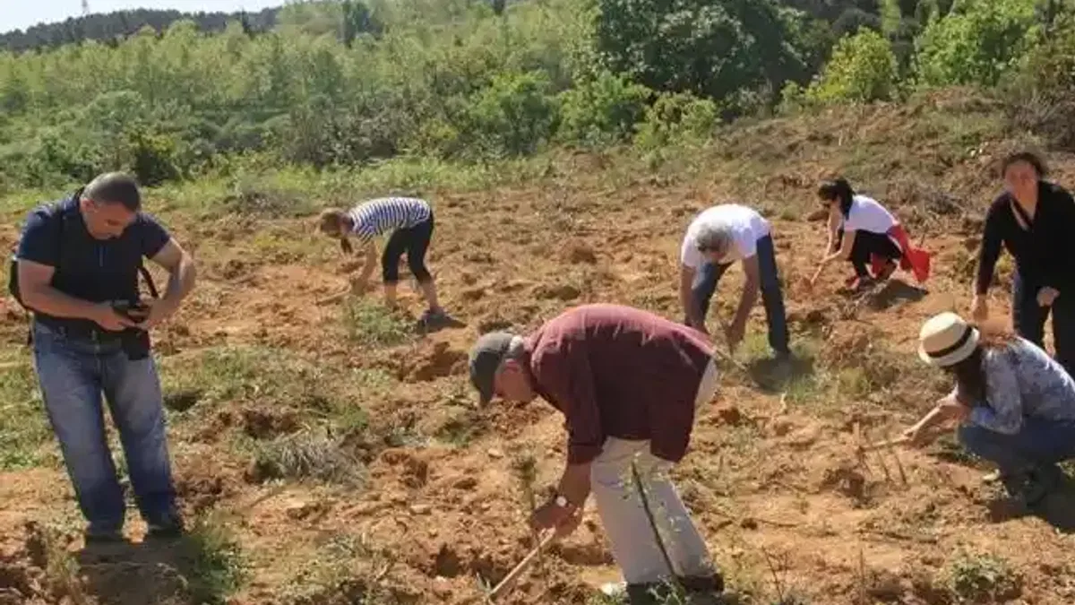 ÇEKÜL'den 'acele etmeyin' uyarısı! Yanan bölgelerde fidan dikimi için acele edilmemeli!