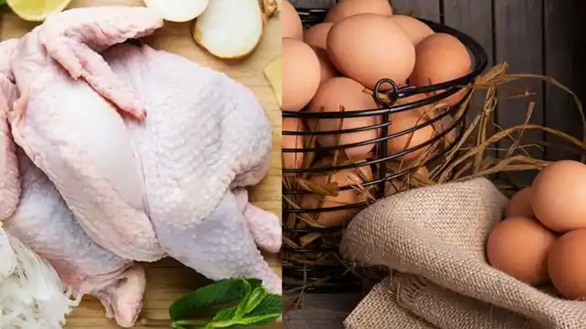 Tavuk eti üretimi 228 bin tonu aştı... Yumurta üretimi yıllık bazda azaldı