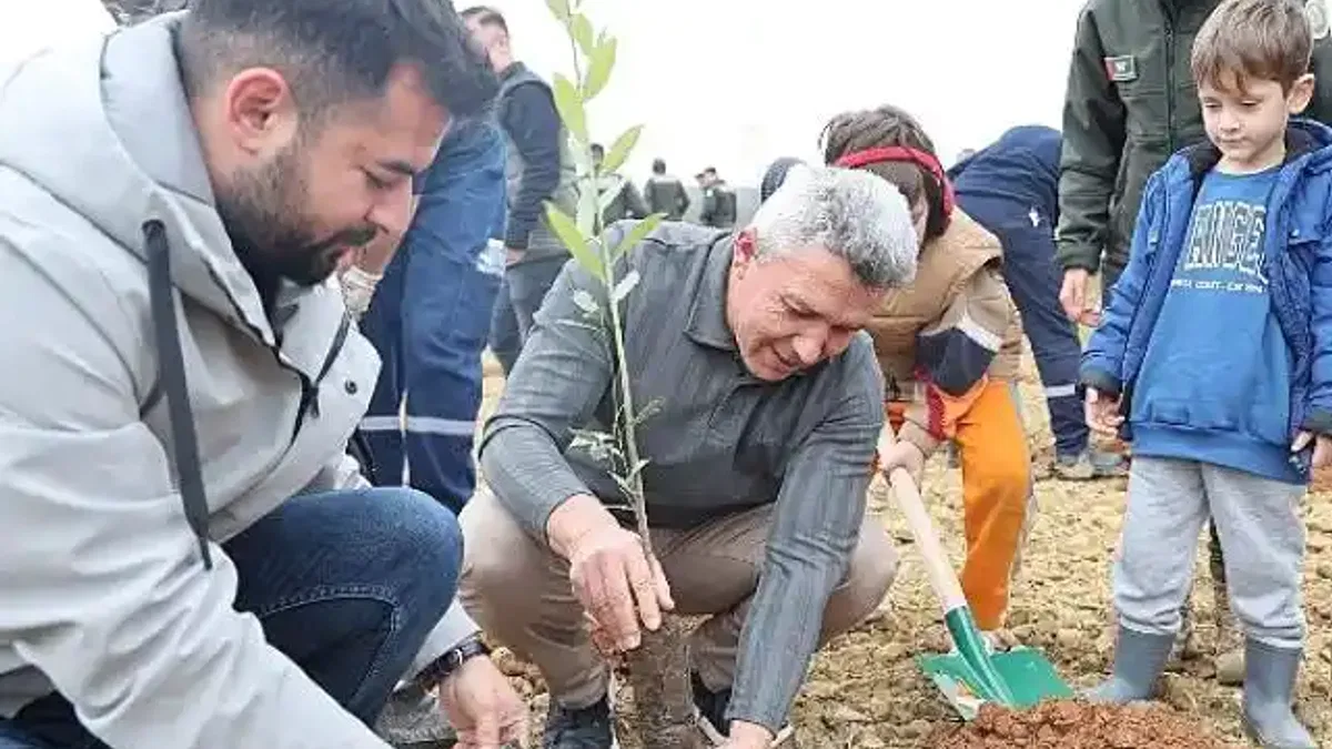 Kandıra'da 1.500 Defne Fidanı Toprakla Buluştu.