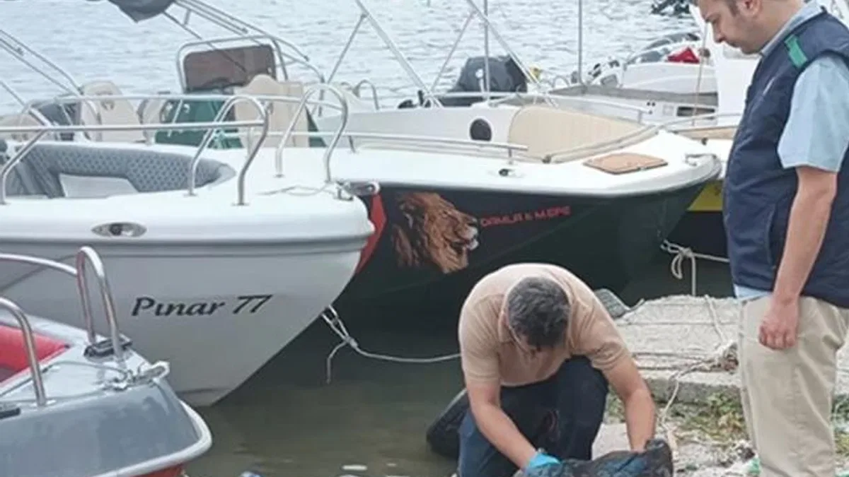 Yalova'da denizi kirleten iki belediyeye 'Çevre' cezası
