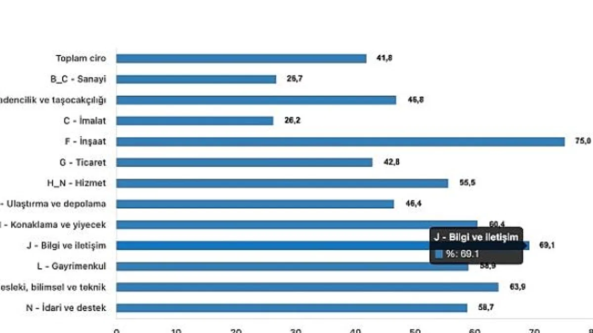 Tüik: Toplam ciro yıllık %41,8 arttı