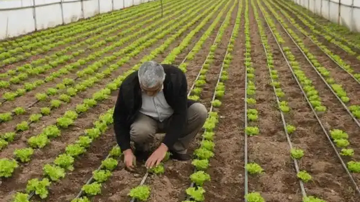 Balıkesir’de “Tarım Modeli” ile çiftçiye destek