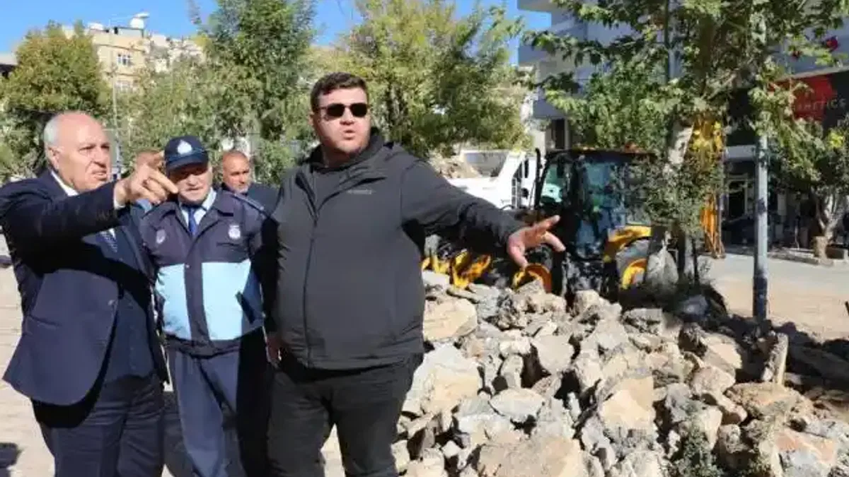 Mardin Yeşilli’de büyük dönüşüm... 50 bin ağaçlık yeşil hamle