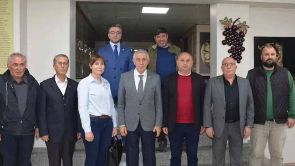 Manisa Salihli'de zeytinyağına coğrafi işaret hazırlığı