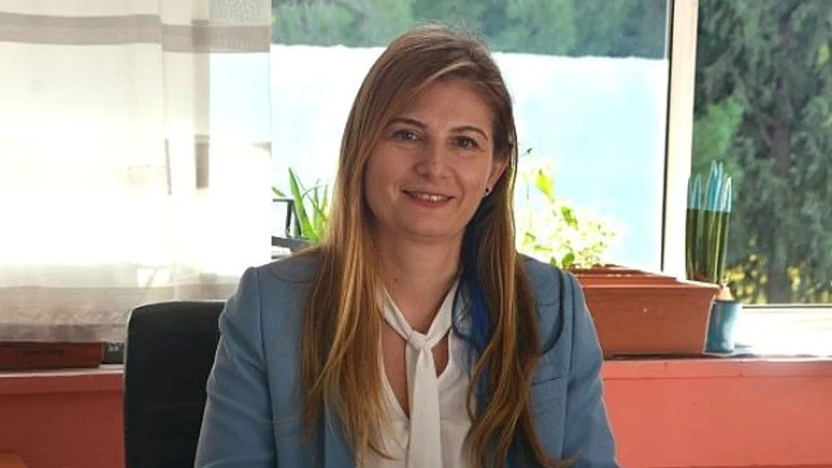 COP29: İklim değişikliğiyle mücadelede yeni bir başlangıç