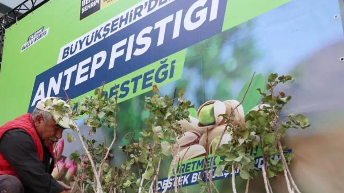 Konya'da antep fıstığı yaygınlaşıyor