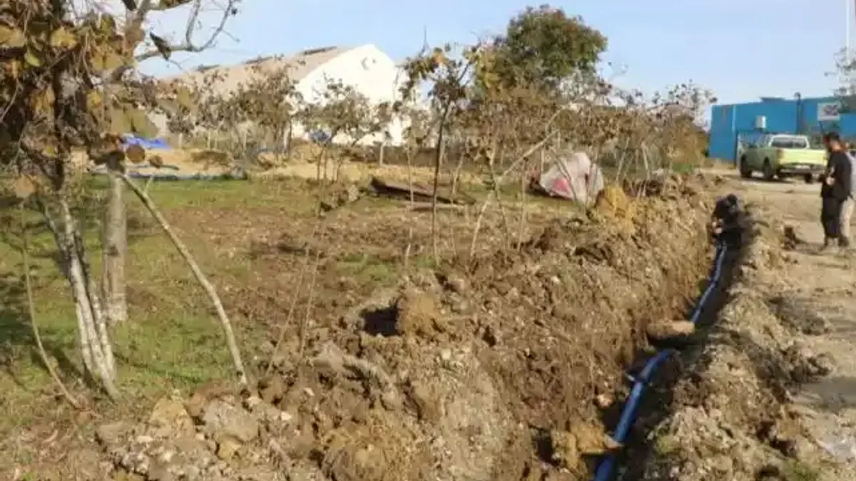 Ordu’da fındıkta verim için damlama sulama dönemi