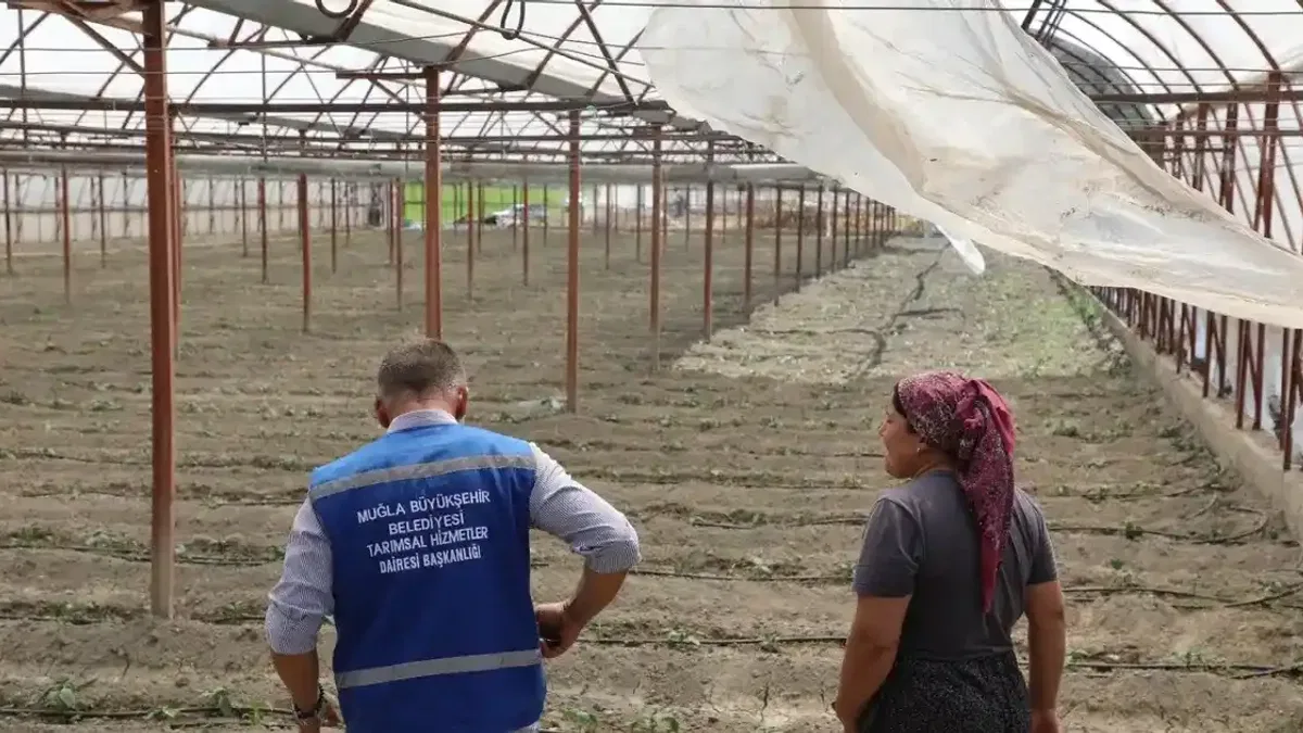 Muğla'da zarar gören üreticiye naylon desteği