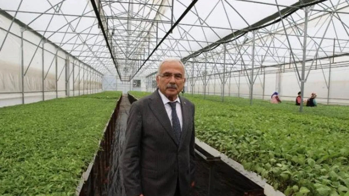 Üreticilere 4 milyon liralık fide