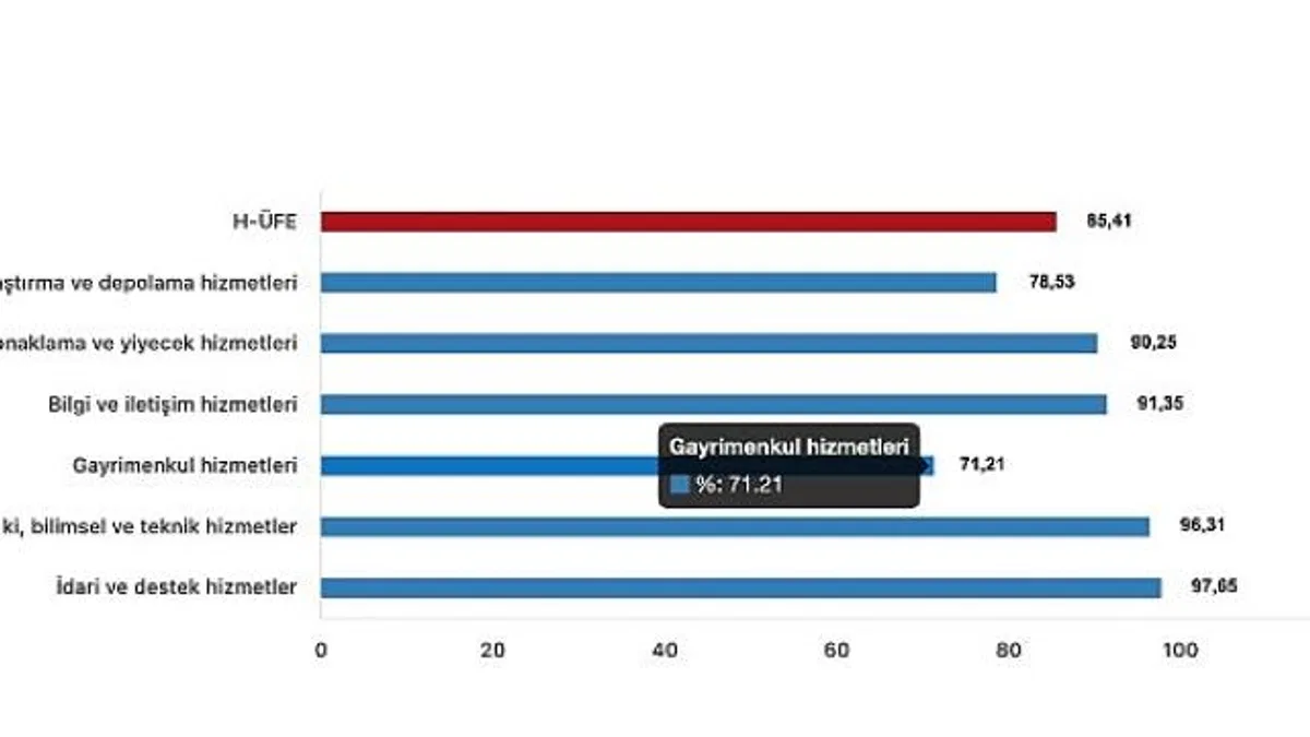 TÜİK: Hizmet Üretici Fiyat Endeksi yıllık %85,41 arttı, aylık %3,64 arttı