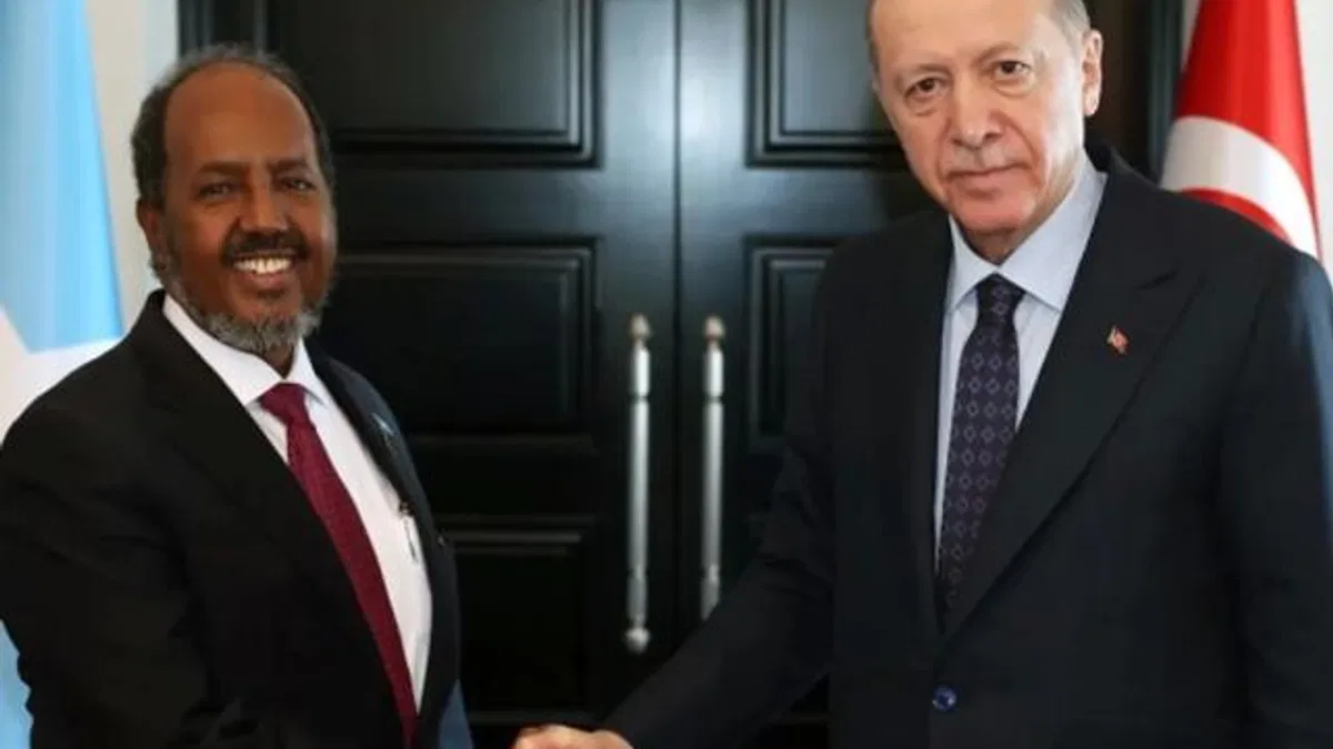 Cumhurbaşkanı Erdoğan Somalili mevkidaşıyla görüştü
