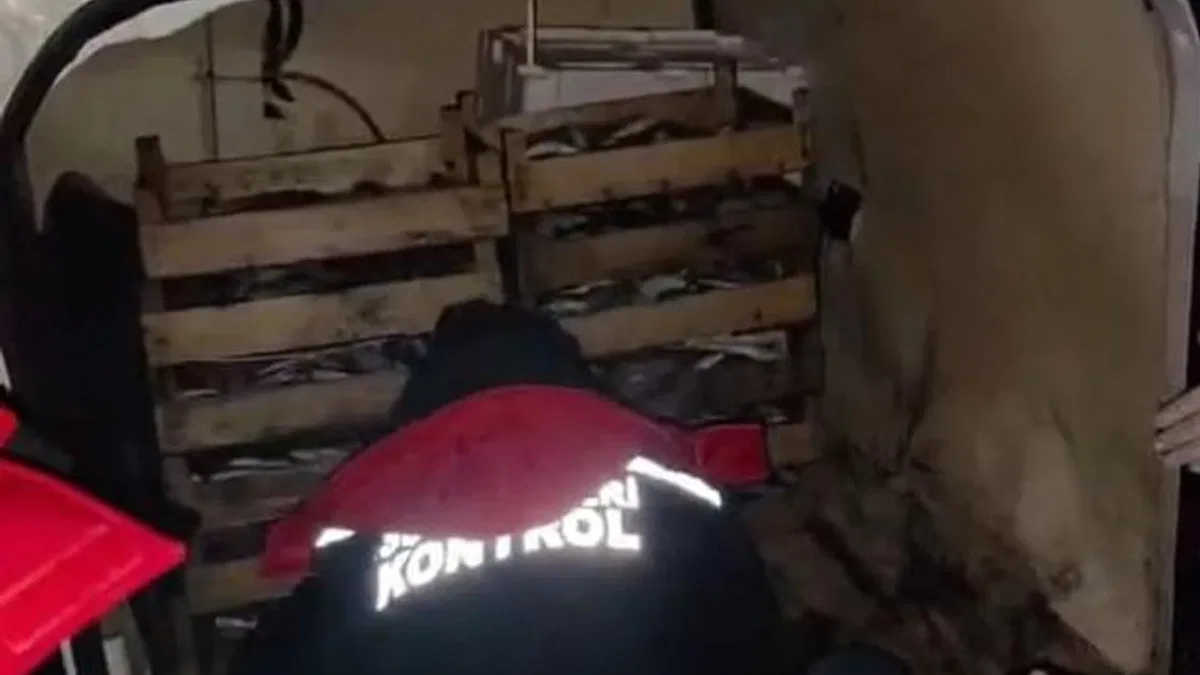 İzmir'de yasadışı avcılığa karşı sıkı önlem