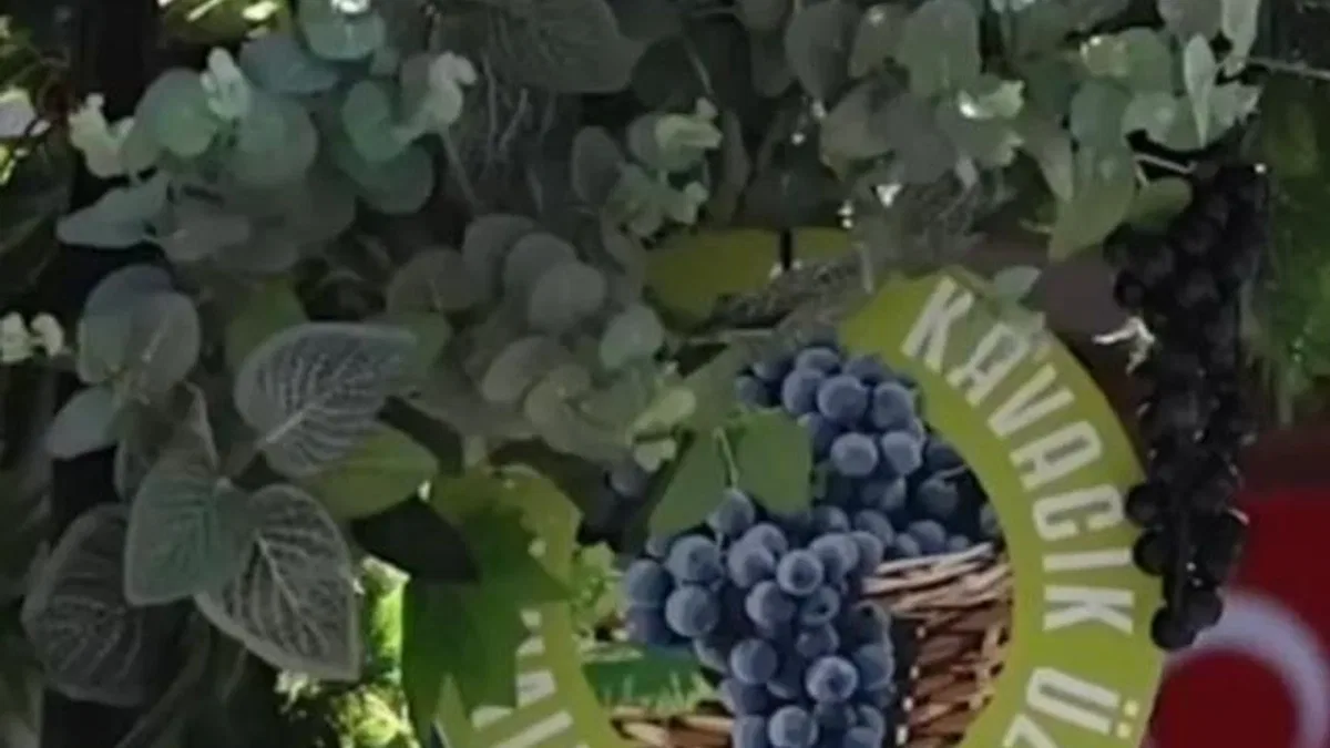 Karabağlar Kavacık'taki üzümle 13'üncü buluşma