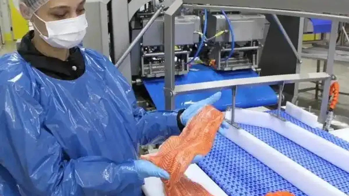 Türk somonu ihracatı rekor kırıyor