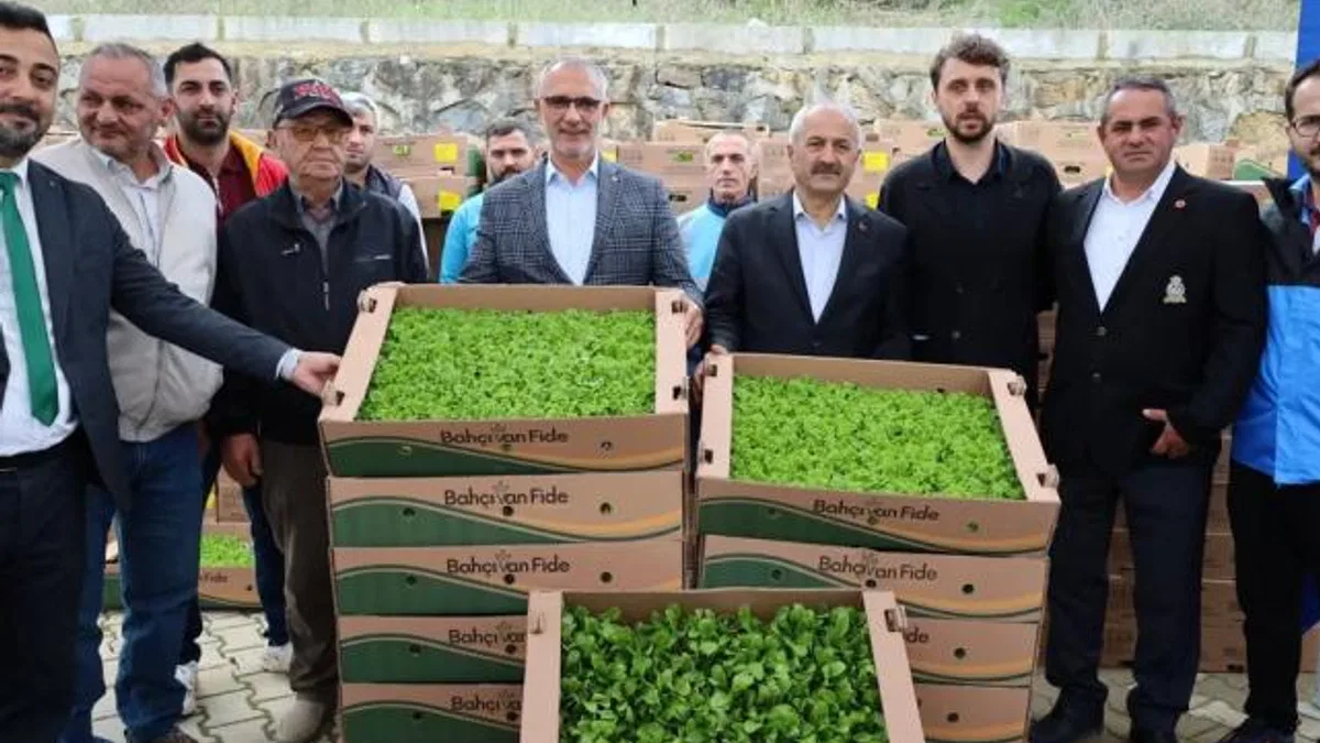 Kocaeli’de çiftçilere sebze fidesi desteği