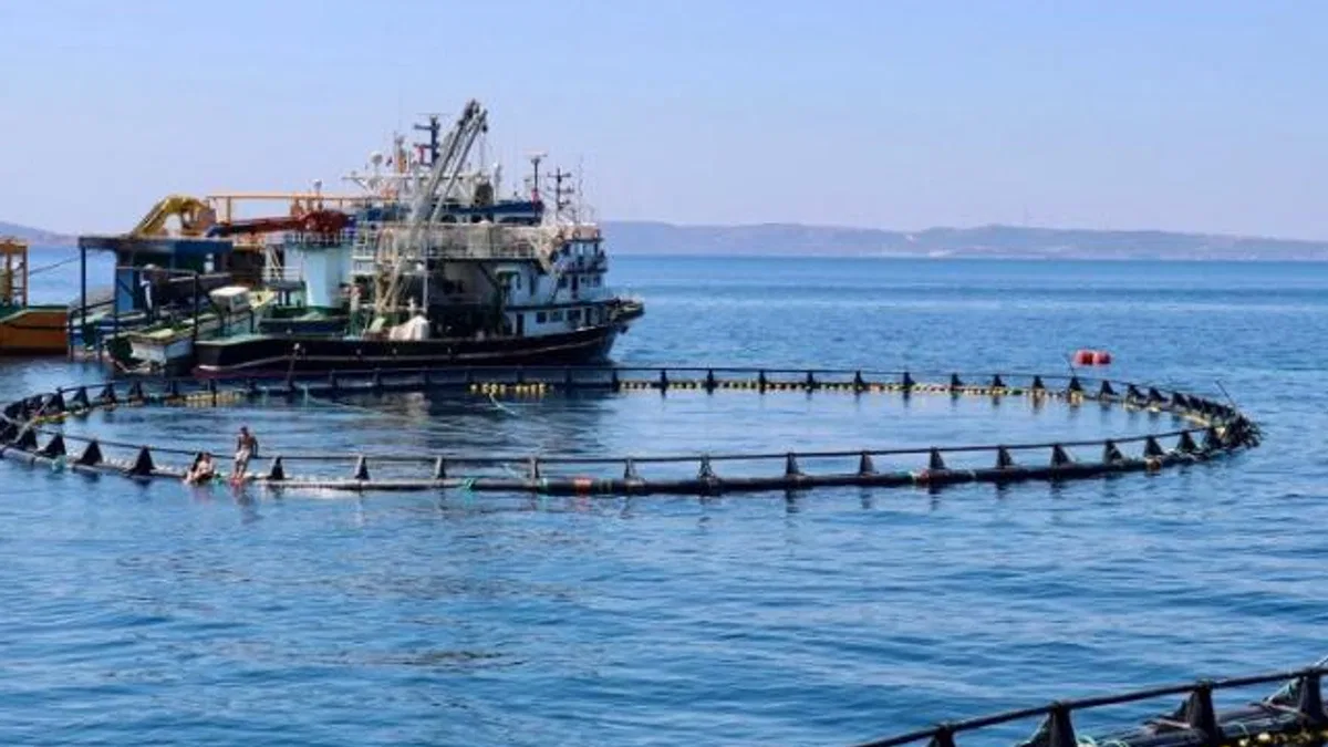 Orkinos çiftlikleri İzmir'den dünyaya açılıyor
