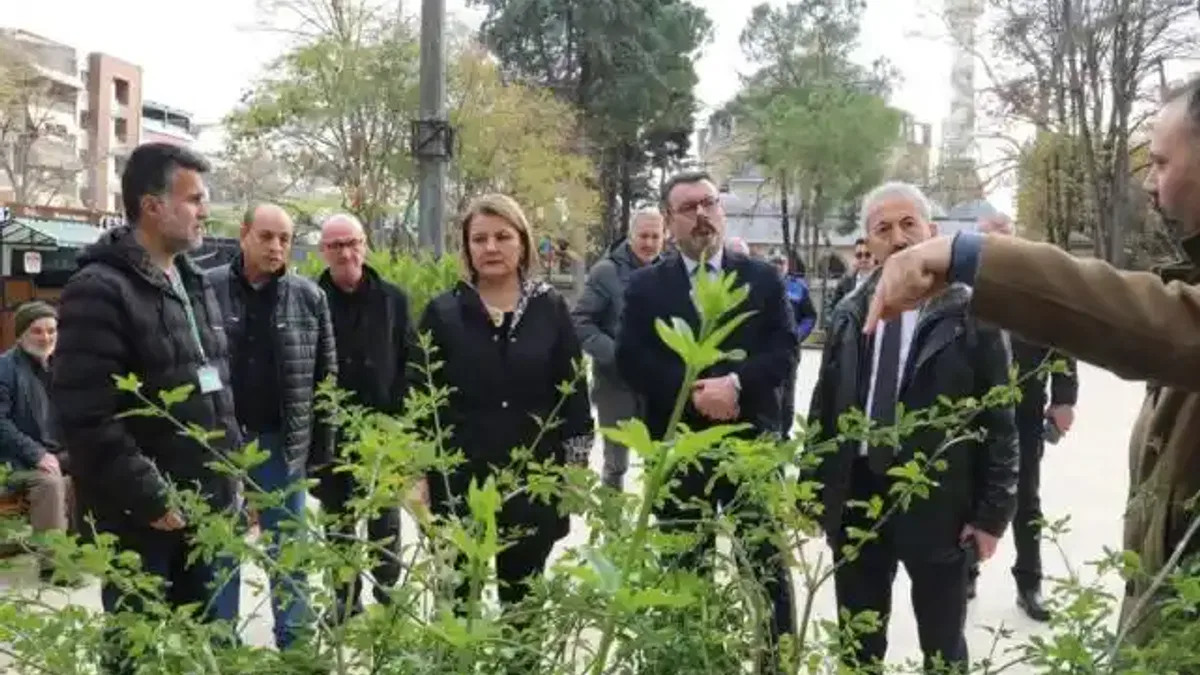 Yeni Cuma Parkı yaz aylarında botanik bahçesine dönüşecek