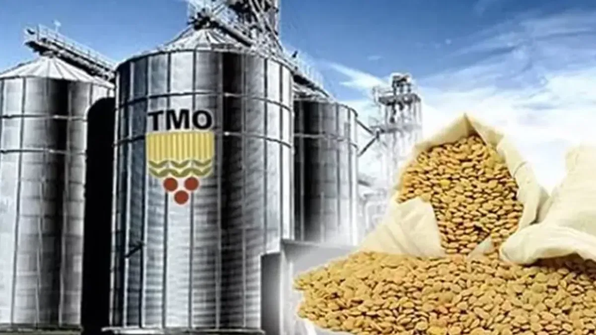 TMO’dan üreticilere 6,3 milyar liralık ödeme