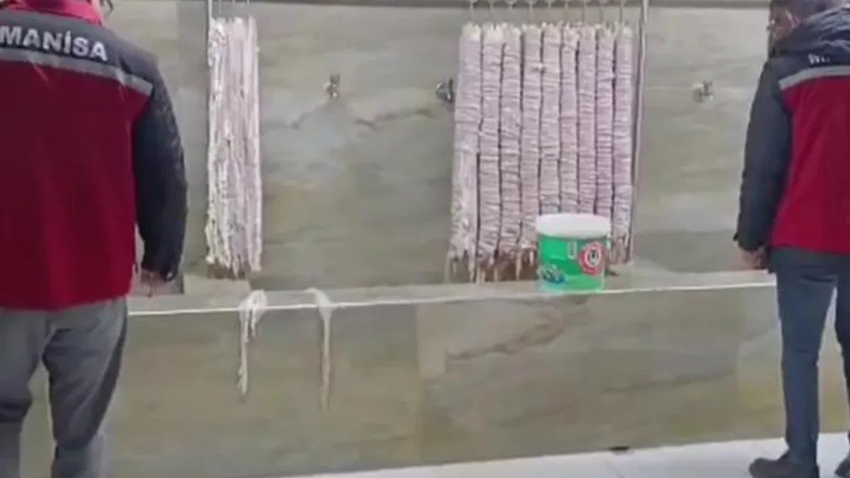 Manisa'da 4 milyon TL'lik bozulmuş kokoreçe imha!