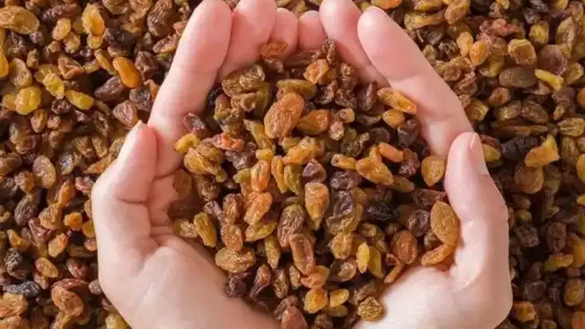 Türkiye kuru üzüm ihracatında hedefi koydu... Yüzde 30 tek başına hakimiyet!