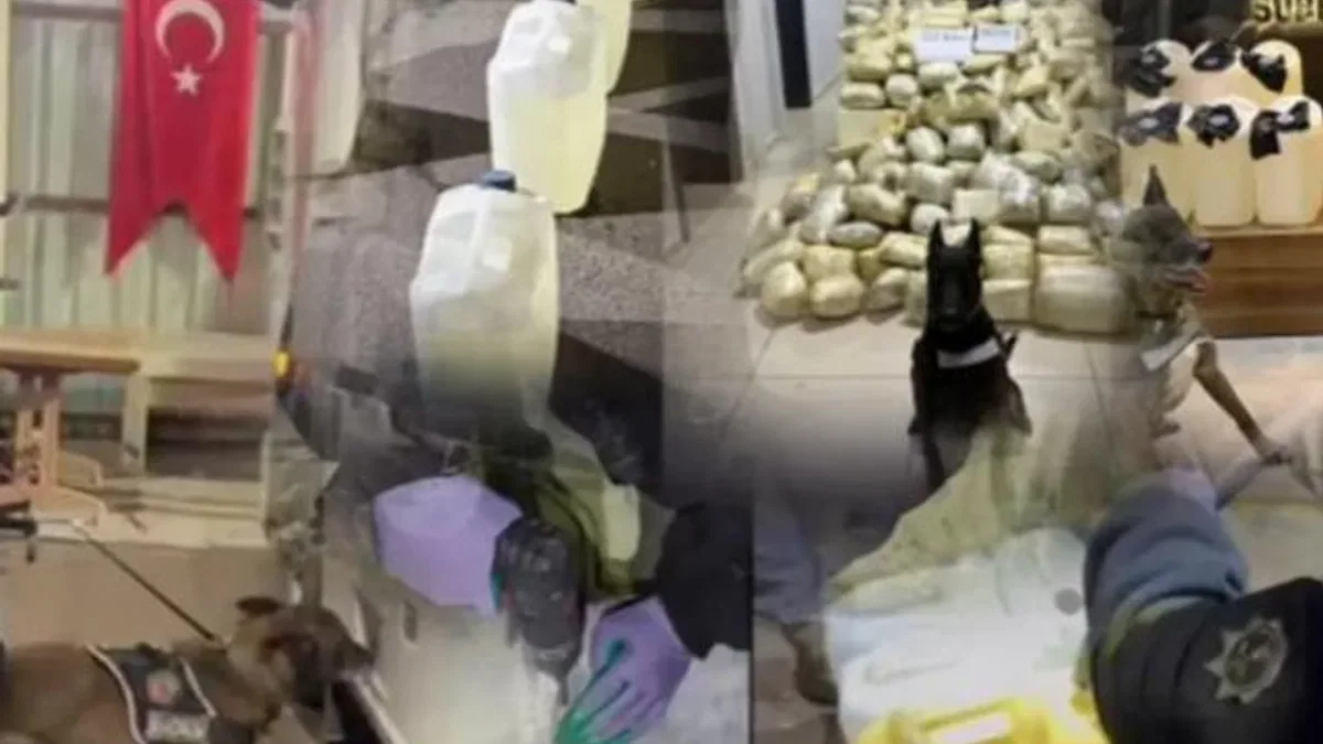 Erzurum ve Mersin'de 447 kilogram uyuşturucu: 3 gözaltı