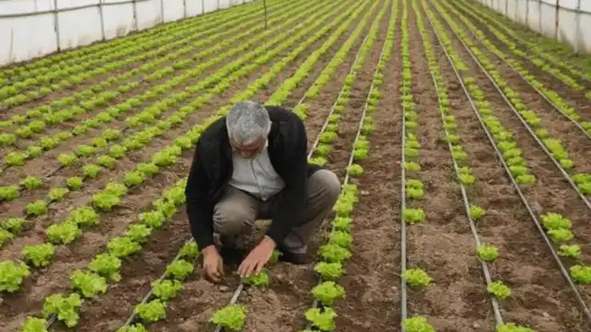 Balıkesir Büyükşehir'den üreticilere tam destek