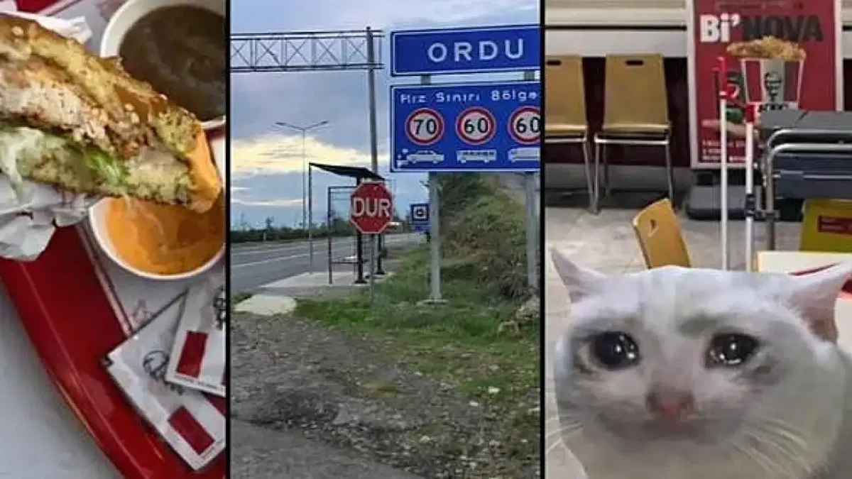 Ordu’da neden KFC Yok?