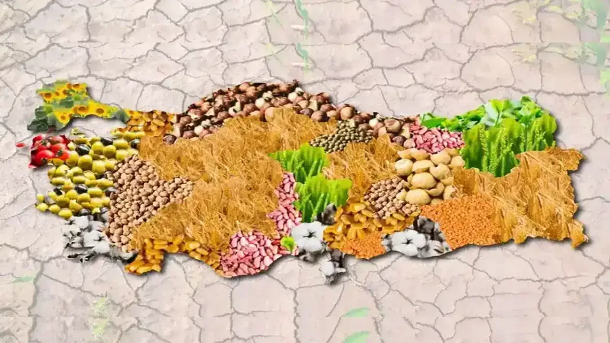 Türkiye'nin tarımsal örgütlenme verileri açıklandı