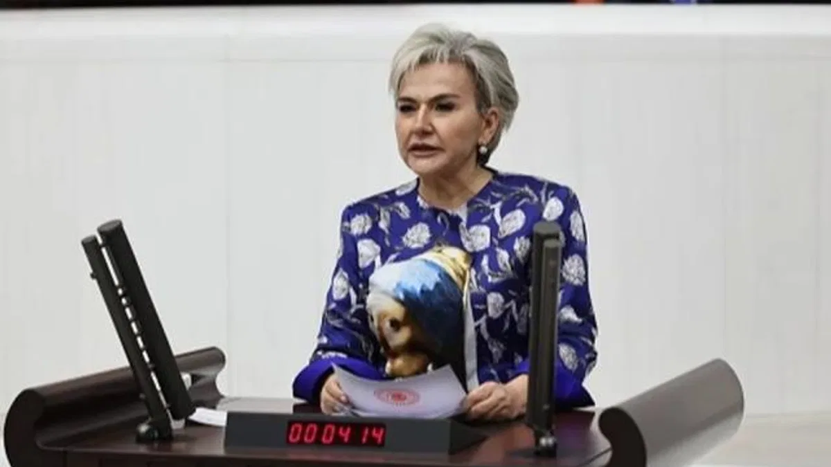CHP'li Milletvekili Özdemir'den yeni kanun teklifi