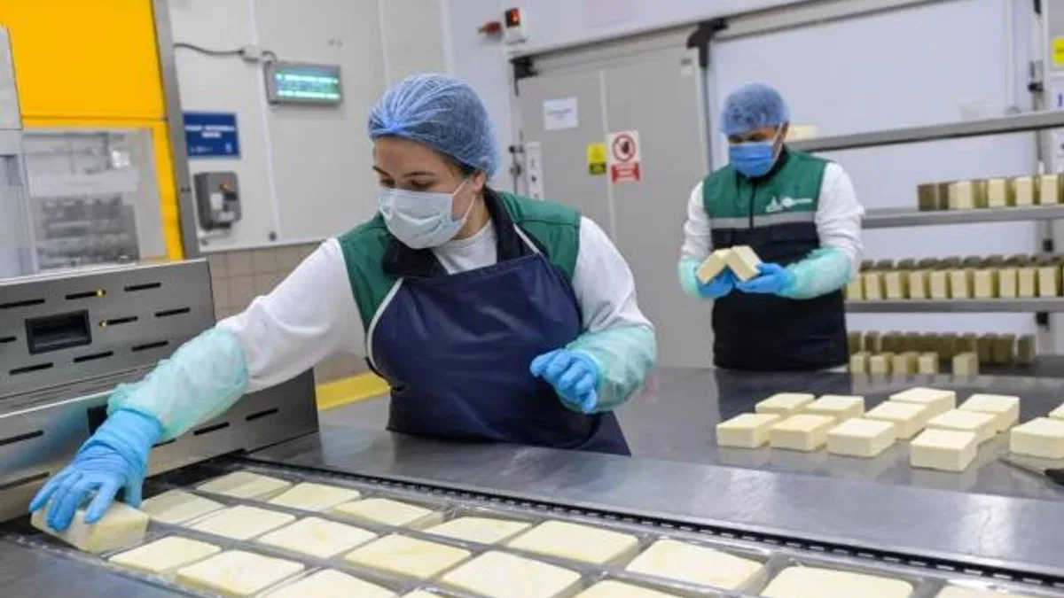 İzmir kırsalında büyük hamle... Destek 1,4 milyara çıktı
